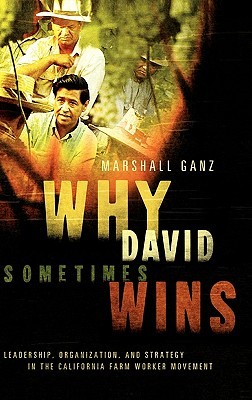 Why David wins